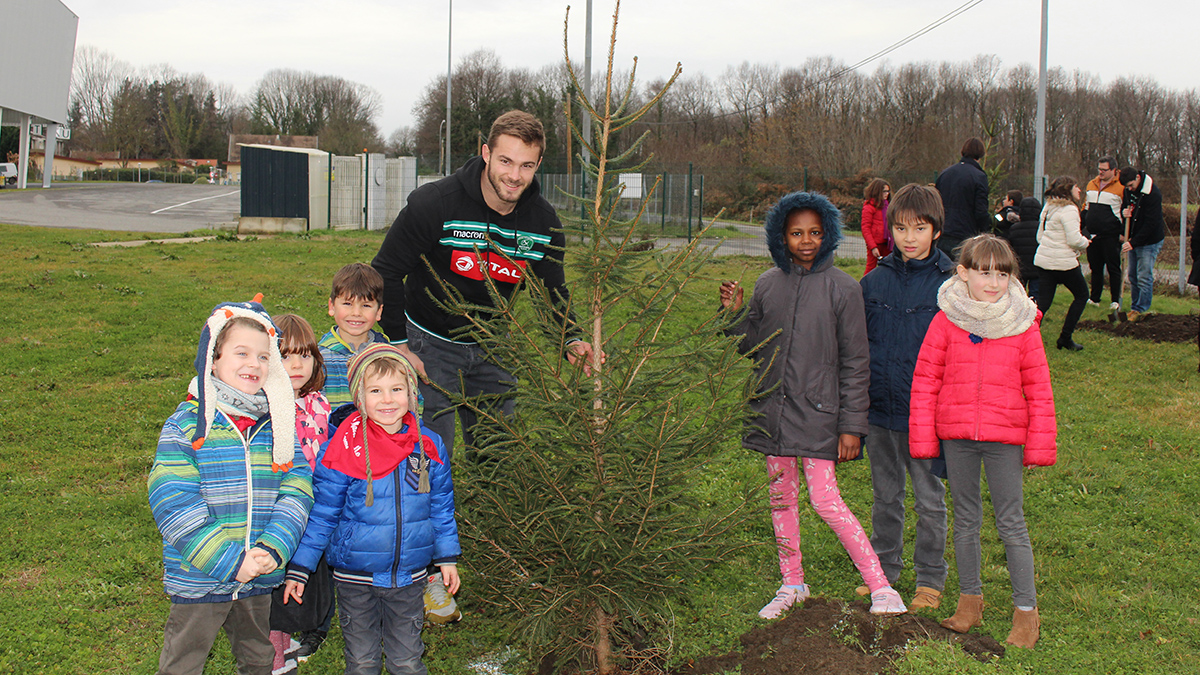 ecolo en herbe sapins 01