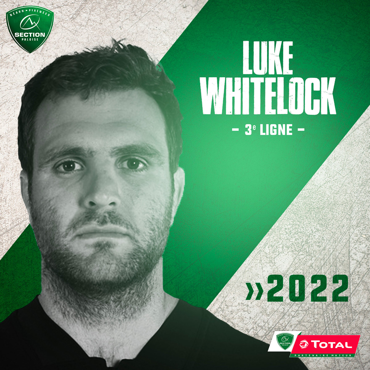 luke whitelock mailing