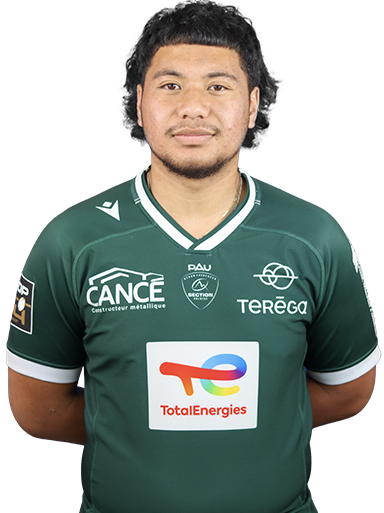 TAUILIILI PELESASA Paulo